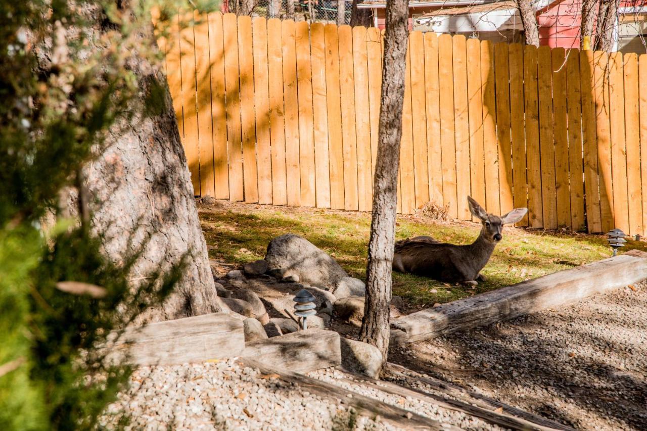 Ruidoso Lodge Cabins # 8 Exterior photo